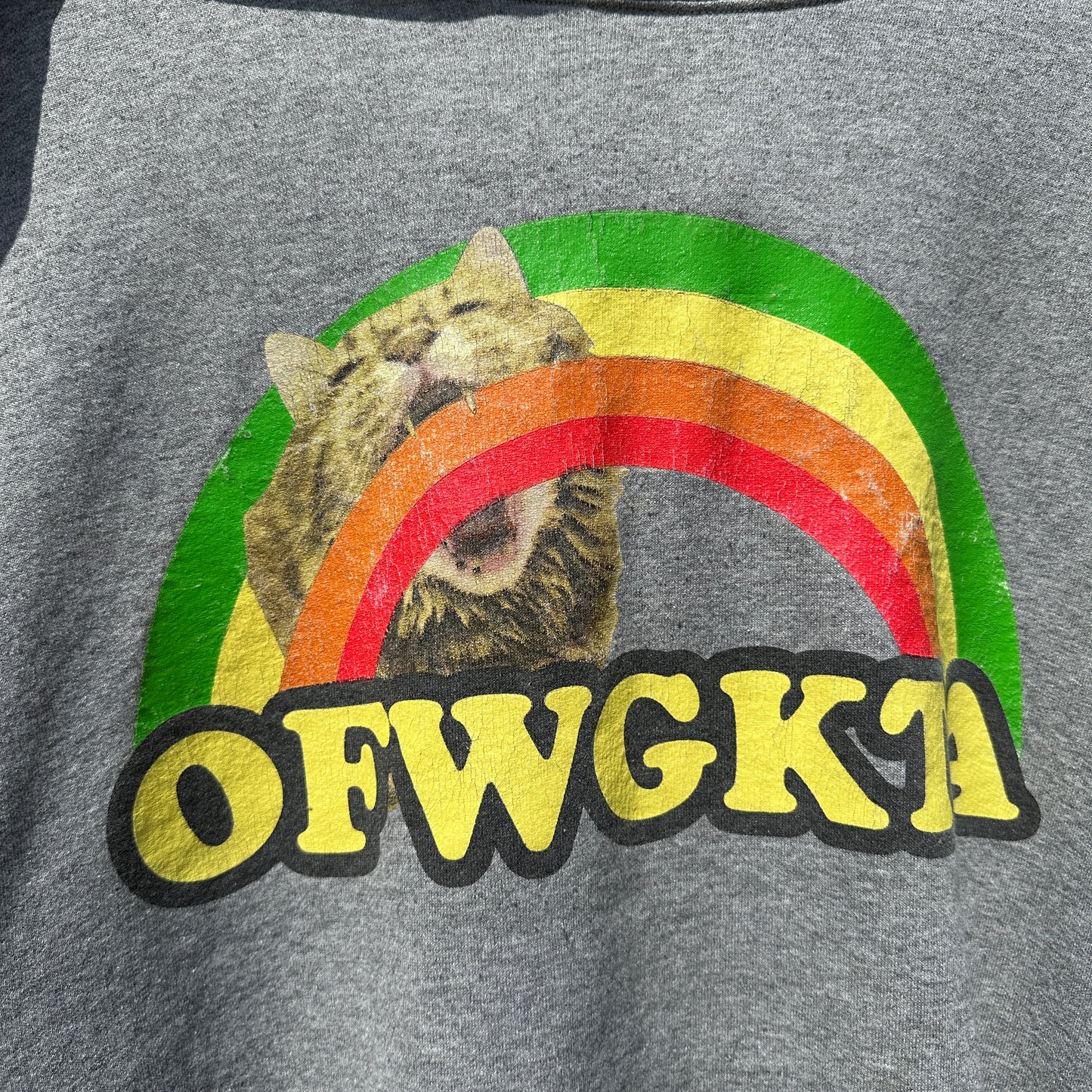 OFWGKTA Raindbow Cat Hoodie