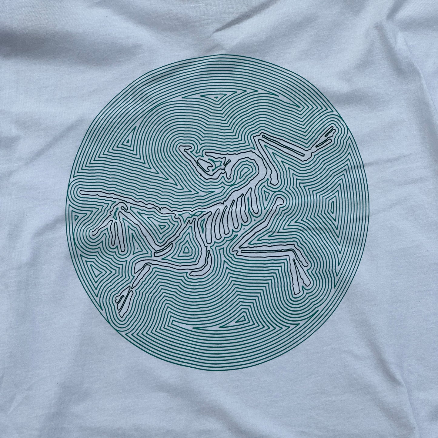 Arc'teryx Spellouts Big Logo t-shirt