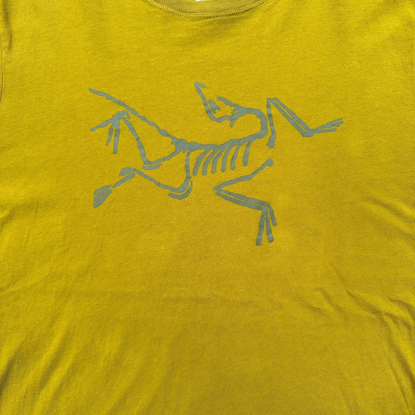 Arc'teryx Big Logo Yellow Mustard T-shirt