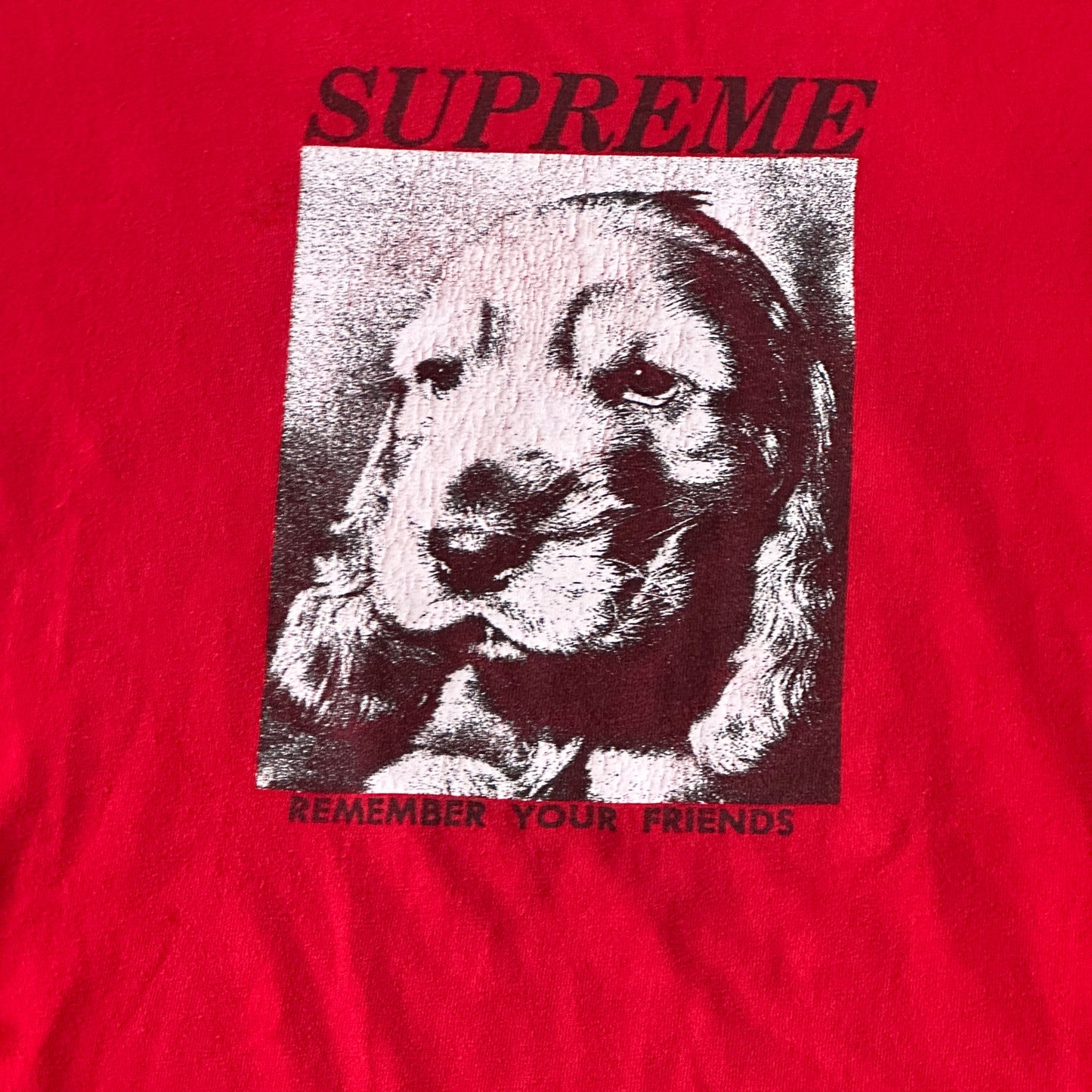 Supreme FW18 "Remember Your Friends T-shirt