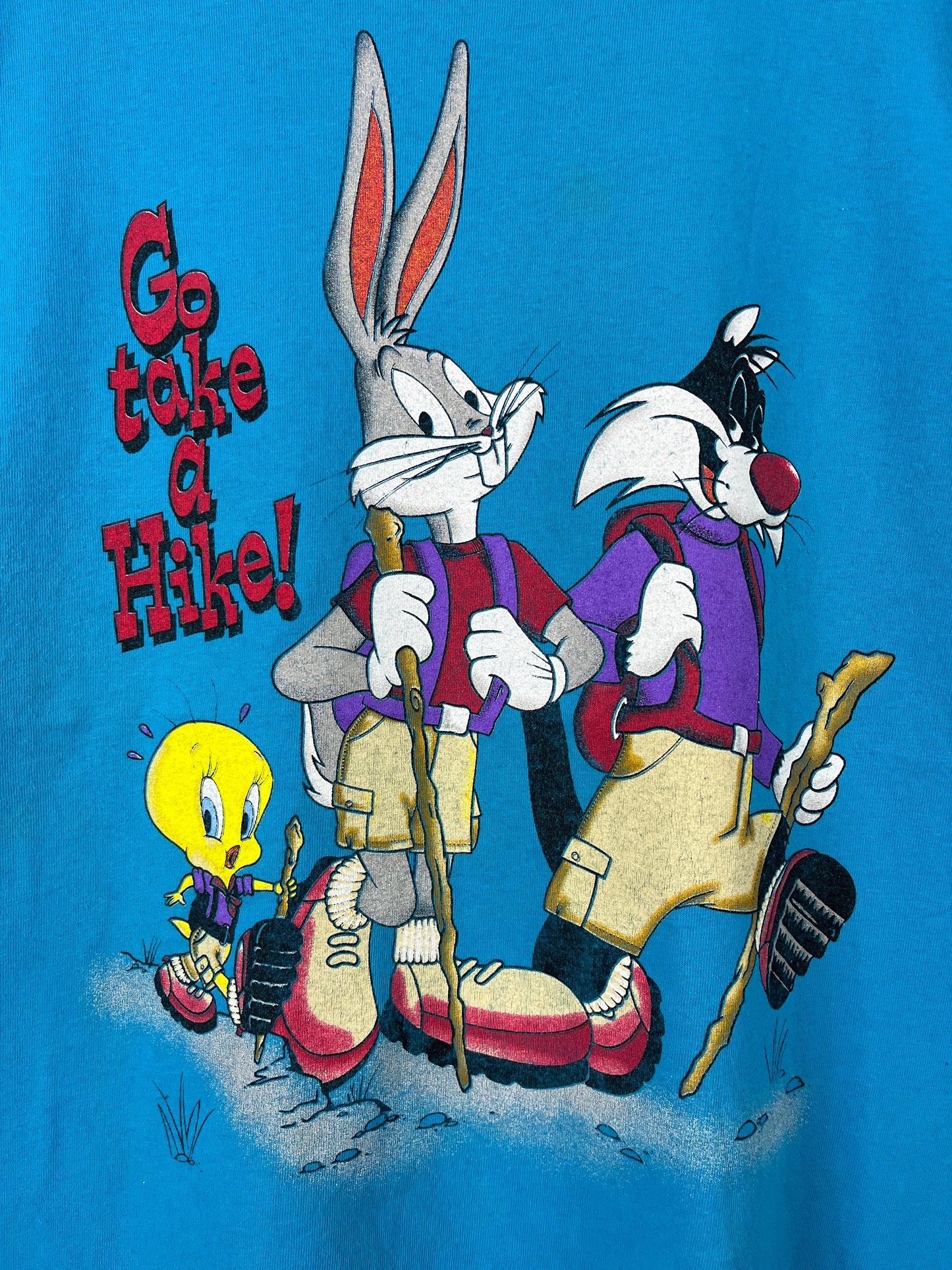 Vintage Looney Tunes Gang 90's "Hike" T-shirt